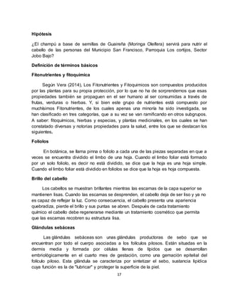 17
Hipótesis
¿El champú a base de semillas de Guaireña (Moringa Oleífera) servirá para nutrir el
cabello de las personas del Municipio San Francisco, Parroquia Los cortijos, Sector
Jobo Bajo?
Definición de términos básicos
Fitonutrientes y fitoquimica
Según Vera (2014), Los Fitonutrientes y Fitoquimicos son compuestos producidos
por las plantas para su propia protección, por lo que no ha de sorprendernos que esas
propiedades también se propaguen en el ser humano al ser consumidas a través de
frutas, verduras o hierbas. Y, si bien este grupo de nutrientes está compuesto por
muchísimos Fitonutrientes, de los cuales apenas una minoría ha sido investigada, se
han clasificado en tres categorías, que a su vez se van ramificando en otros subgrupos.
A saber: fitoquímicos, hierbas y especias, y plantas medicinales, en los cuales se han
constatado diversas y notorias propiedades para la salud, entre los que se destacan los
siguientes.
Foliolos
En botánica, se llama pinna o foliolo a cada una de las piezas separadas en que a
veces se encuentra dividido el limbo de una hoja. Cuando el limbo foliar está formado
por un solo foliolo, es decir no está dividido, se dice que la hoja es una hoja simple.
Cuando el limbo foliar está dividido en foliolos se dice que la hoja es hoja compuesta.
Brillo del cabello
Los cabellos se muestran brillantes mientras las escamas de la capa superior se
mantienen lisas. Cuando las escamas se desprenden, el cabello deja de ser liso y ya no
es capaz de reflejar la luz. Como consecuencia, el cabello presenta una apariencia
quebradiza, pierde el brillo y sus puntas se abren. Después de cada tratamiento
químico el cabello debe regenerarse mediante un tratamiento cosmético que permita
que las escamas recobren su estructura lisa.
Glándulas sebáceas
Las glándulas sebáceas son unas glándulas productoras de sebo que se
encuentran por todo el cuerpo asociadas a los folículos pilosos. Están situadas en la
dermis media y formada por células llenas de lípidos que se desarrollan
embriológicamente en el cuarto mes de gestación, como una gemación epitelial del
folículo piloso. Esta glándula se caracteriza por sintetizar el sebo, sustancia lipídica
cuya función es la de "lubricar" y proteger la superficie de la piel.
 