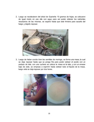 20
2. Luego se recolectaron del árbol de Guaireña 10 gramos de hojas, se colocaron
de igual modo en una olla con agua para así poder obtener los nutrientes
necesarios de las mismas, se esperó hasta que este hirviera para sacarlo del
fuego y dejarlo reposar.
3. Luego de haber cocido bien las semillas de moringa, se forma una masa, la cual
se deja reposar hasta que se ponga fría para poder extraer el aceite con un
pedazo de tela, con una cuchara se coloca la masa en la tela, y con un envase
bajo de este, se empieza a exprimir hasta extraer todo el líquido de la masa,
luego este se deja reposar por dos horas.
 