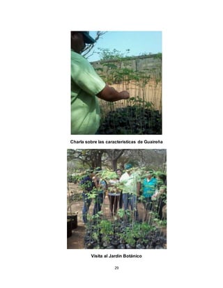 29
Charla sobre las caracteristicas de Guaireña
Visita al Jardín Botánico
 