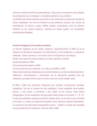 entonces recibe el nombre de polinucleótidos. Esto podría compararse a las unidades
de aminoácidos que constituyen a la cadena péptida de una proteína.
La hidrólisis de ácidos nucleicos por ácidos o por cierta enzima origina una mezcla de
varios nucleótidos; tal como la hidrólisis de las proteínas produce una mezcla de
aminoácidos. El azúcar y grupo fosfato pueden considerarse como la columna
vertebral de los ácidos nucleicos; mientras las bases pueden ser importantes
ramificaciones laterales.
Función biológica de los ácidos nucleicos
La función biológica de los ácidos nucleicos, específicamente el DNA es la de
contener la información hereditaria. En 1953 Watson y Crick resolvieron su estructura
molecular, dando comienzo a una nueva era en la bioquímica y la biología.
Existen dos clases de ácidos nucleicos en todo organismo viviente:
Ácido ribonucleico o RNA
Ácido desoxirribonucleico o DNA
Por otra parte los virus contienen uno solo ya sea RNA o DNA.
Otras de las funciones biológicas de los ácidos nucleicos son las de almacenamiento,
replicación, recombinación, y transmisión de la información genética (son las
moléculas que determinan lo que es y hace cada una de las células vivas)
El RNA y DNA son polímeros integrados por unidades monoméricas llamadas
nucleótidos. De ahí su nombre de poli nucleótidos. Cada nucleótido tiene fosfato,
azúcar, y una purina o pirimidina, a las cuales se les conoce como bases
nitrogenadas. En los nucleótidos las tres partes están unidas en el orden, P – S – B.
En los poli nucleótidos podemos encontrar enlaces éster, en el cual se unen el fosfato
y el azúcar, y a estos a lo largo del esqueleto se les denomina enlaces fosfodiéster.
La secuencia de estas bases nitrogenadas azúcar – fosfato a lo largo del esqueleto
es el que determina la estructura única de DNA y RNA.
 