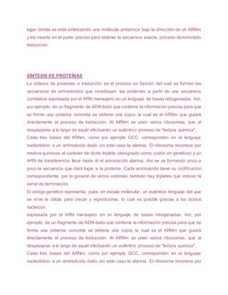 lugar donde se está sintetizando una molécula proteínica bajo la dirección de un ARNm
y los inserta en el punto preciso para obtener la secuencia exacta, proceso denominado
traducción.
SÍNTESIS DE PROTEÍNAS
La síntesis de proteínas o traducción es el proceso en función del cual se forman las
secuencias de aminoácidos que constituyen las proteínas a partir de una secuencia
correlativa expresada por el ARN mensajero en un lenguaje de bases nitrogenadas. Así,
por ejemplo, de un fragmento de ADN dado que contiene la información precisa para que
se forme una proteína concreta se obtiene una copia, la cual es el ARNm que guiará
directamente el proceso de traducción. Al ARNm se unen varios ribosomas, que al
desplazarse a lo largo de aquél efectuarán un auténtico proceso de "lectura química".
Cada tres bases del ARNm, como por ejemplo GCC, corresponden en el lenguaje
nucleotídico a un aminoácido dado, en este caso la alanina. El ribosoma reconoce por
medios químicos el carácter de dicho triplete (designado como codón en genética) y un
ARN de transferencia lleva hasta él el aminoácido alanina. Así se va formando poco a
poco la secuencia que dará lugar a la proteína. Cada aminoácido tiene su codificación
correspondiente, por lo general de varios codones; también hay tripletes que indican la
señal de terminación.
El código genético representa, pues, en escala molecular, un auténtico lenguaje del que
se sirve la célula para crecer y reproducirse, lo cual es posible gracias a los ácidos
nucleicos.
expresada por el ARN mensajero en un lenguaje de bases nitrogenadas. Así, por
ejemplo, de un fragmento de ADN dado que contiene la información precisa para que se
forme una proteína concreta se obtiene una copia, la cual es el ARNm que guiará
directamente el proceso de traducción. Al ARNm se unen varios ribosomas, que al
desplazarse a lo largo de aquél efectuarán un auténtico proceso de "lectura química".
Cada tres bases del ARNm, como por ejemplo GCC, corresponden en el lenguaje
nucleotídico a un aminoácido dado, en este caso la alanina. El ribosoma reconoce por
 