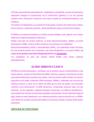 2) Posee capacidad de autorreplicación, estabilidad y variabilidad, es decir el proceso de
replicación asegura la conservación de la información genética y a la vez permite
cambios de la información (mutación) que hacen posible la variabilidad fenotípica y la
evolución.
3) Controla el metabolismo y la expresión de los genes a través del control de la síntesis
de las enzimas y todas las proteínas. Base del llamado dogma central de la biología:
El ADN es el material hereditario en toda la escala biológica, sólo algunos virus tienen
ARN como material hereditario (retrovirus).
Existen dos tipos de ácidos nucleicos, el ácido desoxirribonucleico (ADN) y el ácido
Ribonucleico (ARN). Ambos ácidos nucleicos son polímeros de nucleótidos:
Desoxirribonucleótidos (ADN) y ribonucleotidos (ARN). Los nucleotidos están formados
por una pentosa (azúcar de 5 carbonos), una base nitrogenada y un grupo fosfato. La
unión de la pentosa a la base nitrogenada forma un Nucleósido.
Los nucleótidos se unen por uniones diester fosfato para formar cadenas
polinucleotidicas.
ÁCIDO RIBONUCLEICO
El ARN es el ácido ribonucleico, constituido por la pentosa ribosa, el ácido fosfórico y las
bases citosina, uracilo (en ésta difiere del ADN), adenina y guanina. Se compone de una
sola cadena helicoidal y presenta tres clases, cada una de las cuales cumple una función
específica en la célula: el llamado ARN mensajero (ARNm), sintetizado por la acción de
diversas enzimas a partir de un hebra de ADN que le sirve de patrón, en el proceso
conocido como transcripción; el ARN ribosómico, componente esencial, junto con las
proteínas, de los orgánulos celulares llamados ribosomas; y el ARN de transferencia,
que traslada los diversos aminoácidos (unidades estructurales de las proteínas) hasta el
lugar donde se está sintetizando una molécula proteínica bajo la dirección de un ARNm
y los inserta en el punto preciso para obtener la secuencia exacta, proceso denominado
traducción.
SÍNTESIS DE PROTEÍNAS
 