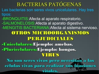 BACTERIAS PATÓGENAS
Las bacterias son seres vivos unicelulares. Hay tres
tipos:
-BRONQUITIS:Afecta al aparato respiratorio.
-SALMONELOSIS:Afecta al aparato digestivo.
-MENGITIS BACTERIANA:Afecta al sistema nervioso.
     OTROS MICROORGANISMOS
         PERJUDICIALES
-Unicelulares:Ejemplo: amebas.
-Pluricelulares:Ejemplo: hongos.
                        VIRUS
  No son seres vivos pero necesitan a las
 células vivas para realizar sus funciones
         
                  vitales.
                     
 