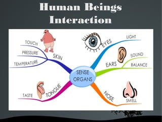   
Human Beings
Interaction
 