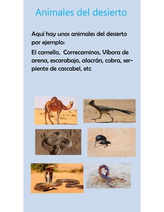 Animales del desierto
Aquí hay unos animales del desierto
por ejemplo:
El camello, Correcaminos, Víbora de
arena, escarabajo, alacrán, cobra, ser-
piente de cascabel, etc.
 