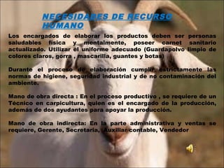 NECESIDADES DE RECURSO
HUMANO
Los encargados de elaborar los productos deben ser personas
saludables física y mentalmente, poseer carnet sanitario
actualizado. Utilizar el uniforme adecuado (Guardapolvo limpio de
colores claros, gorra , mascarilla, guantes y botas)
Durante el proceso de elaboración cumplir estrictamente las
normas de higiene, seguridad industrial y de no contaminación del
ambiente.
Mano de obra directa : En el proceso productivo , se requiere de un
Técnico en carpicultura, quien es el encargado de la producción,
además de dos ayudantes para apoyar la producción.
Mano de obra indirecta: En la parte administrativa y ventas se
requiere, Gerente, Secretaria, Auxiliar contable, Vendedor
 
