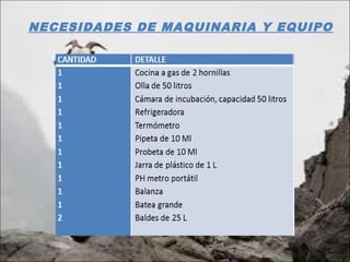 NECESIDADES DE MAQUINARIA Y EQUIPO
 