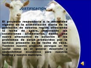 JUSTIFICACIÓN
El proyecto respondería a la necesidad
vigente en la alimentación diaria de la
población de nuestra región ofreciendo
la leche de cabra, mejorando las
condiciones alimentarias dando una
nueva alternativa de solución a los
problemas de salud producidos por la
lactosa presente en la leche de vaca.
También nuestro propósito persigue un fin
social como es el generar desarrollo y
sostenibilidad económica para nuestras
familias y nuestro municipio.
 