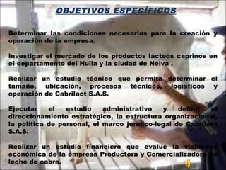 OBJETIVOS ESPECÍFICOS
Determinar las condiciones necesarias para la creación y
operación de la empresa.
Investigar el mercado de los productos lácteos caprinos en
el departamento del Huila y la ciudad de Neiva .
Realizar un estudio técnico que permita determinar el
tamaño, ubicación, procesos técnicos, logísticos y
operación de Cabrilact S.A.S.
Ejecutar el estudio administrativo y definir el
direccionamiento estratégico, la estructura organizacional,
la política de personal, el marco jurídico-legal de Cabrilact
S.A.S.
 
Realizar un estudio financiero que evalué la viabilidad
económica de la empresa Productora y Comercializadora de
leche de cabra.
 