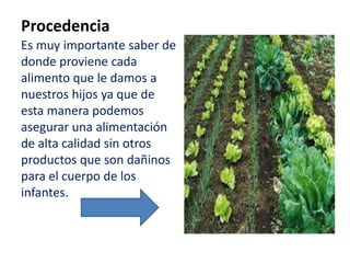 Procedencia
Es muy importante saber de
donde proviene cada
alimento que le damos a
nuestros hijos ya que de
esta manera podemos
asegurar una alimentación
de alta calidad sin otros
productos que son dañinos
para el cuerpo de los
infantes.
 