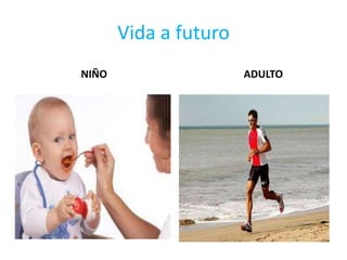 Vida a futuro
NIÑO ADULTO
 