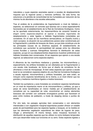 Conservación In-Situ: Corredores ecológicos


naturaleza y cuyas especies asociadas operan a escalas de desplazamiento
mayores que la regional (aves) y menores (anﬁbios). De esta forma, las
soluciones a la pérdida de conectividad de los humedales por reducción de los
mismos ha de abordarse a las escalas adecuadas.

Tras el análisis de la problemática de fragmentación a nivel de hábitats y
especies, se seleccionan en concreto qué taxones van a verse especialmente
favorecidos por el establecimiento de la Red de Corredores Ecológicos. Como
se ha apuntado anteriormente, los mesomamíferos de vocación forestal se
eligen como especies-objetivo al operar a escalas regionales de
desplazamiento y estar ligados a hábitats fragmentados conectables por
corredores. En el caso de los mamíferos semiacuáticos, en España (nutria y
visón europeo), la situación de sus poblaciones parece estar condicionada por
la fragmentación y pérdida de bosques de ribera, ya que ésta constituye una de
las principales causas de su dinámica espacial. El establecimiento de
corredores que aumenten la permeabilidad del paisaje entre los diferentes
cursos ﬂuviales y cuencas hidrográﬁcas favorece la distribución de estas
especies, ya que en sus desplazamientos dispersivos muestran preferencia por
hábitats forestales bien conservados. Al ser especies que operan a una escala
regional, se seleccionan como especies-objetivo.

A diferencia de los mamíferos medianos y grandes, los micromamíferos y,
especialmente, los anﬁbios forestales se ven afectados por la fragmentación a
una escala más localizada, de forma que el diseño de corredores ha de
afrontarse a nivel de micropaisaje. Si bien estas especies que operan a escala
local no se consideran especies-objetivo de una Red de Corredores Ecológicos
a escala regional, micromamíferos y anﬁbios forestales, por este orden, se
incluyen como especies beneﬁciarias de la misma, a un nivel inferior que los
grandes y medianos mamíferos ligados a medios boscosos.

También los quirópteros y aves forestales se consideran especies beneﬁciarias
en un nivel de importancia menor al de micromamíferos y anﬁbios, ya que a
pesar de verse beneﬁciados en menor medida por el establecimiento de
corredores por su capacidad de volar, encontrarían en ciertos elementos
boscosos del corredor con suﬁciente envergadura puntos que favorecen el
paso entre núcleos de población, a modo de stepping stones o puntos de
escala.

Por otro lado, los paisajes agrícolas bien conservados o con elementos
intersticiales o con vegetación marginal espontanea pueden ofrecer un notable
grado de permeabilidad para las especies ligadas a bosques, en la medida en
que los elementos vegetación espontánea les dotan de lugares de paso,
refugio y alimentación. Al mismo tiempo, estos mosaicos favorecen la
distribución de aquellas especies que los utilizan no como biotopos temporales
sino que desarrollan todas sus funciones en su seno. Estas especies ligadas a


                                                                                    13
 
