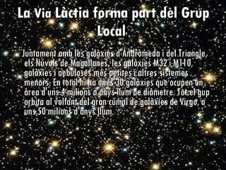 La  Via  Làctia forma part del Grup Local   Juntament amb les galàxies d'Andròmeda i del Triangle, els Núvols de Magallanes, les galàxies M32 i M110, galàxies i nebuloses més petites i altres sistemes menors. En total hi ha unes 30 galàxies que ocupen un àrea d'uns 4 milions d'anys llum de diàmetre. Tot el gup orbita al voltant del gran cúmul de galàxies de Virgo, a uns 50 milions d'anys llum.   