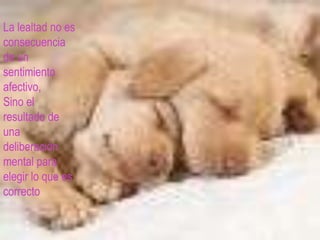 La lealtad no es consecuencia de un sentimiento afectivo, Sino el resultado de una deliberación mental para elegir lo que es correcto 