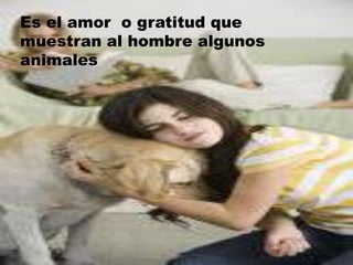 Es el amor  o gratitud que muestran al hombre algunos animales