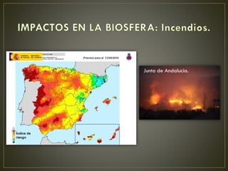 Junta de Andalucía.
 