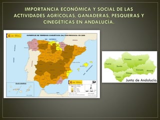 Junta de Andalucía.
 