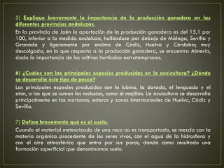 5) Explique brevemente la importancia de la producción ganadera en las
diferentes provincias andaluzas.
En la provincia de Jaén la aportación de la producción ganadera es del 15,1 por
100, inferior a la medida andaluza, hallándose por debajo de Málaga, Sevilla y
Granada y ligeramente por encima de Cádiz, Huelva y Córdoba; muy
descolgada, en lo que respecta a la producción ganadera, se encuentra Almería,
dada la importancia de los cultivos hortícolas extratempranos.
6) ¿Cuáles son las principales especies producidas en la acuicultura? ¿Dónde
se desarrolla éste tipo de pesca?
Las principales especies producidas son la lubina, la dorada, el lenguado y el
atún, a las que se suman los moluscos, como el mejillón. La acuicultura se desarrolla
principalmente en las marismas, esteros y zonas intermareales de Huelva, Cádiz y
Sevilla.
7) Defina brevemente qué es el suelo.
Cuando el material meteorizado de una roca no es transportado, se mezcla con la
materia orgánica procedente de los seres vivos, con el agua de la hidrosfera y
con el aire atmosférico que entra por sus poros, dando como resultado una
formación superficial que denominamos suelo.
 