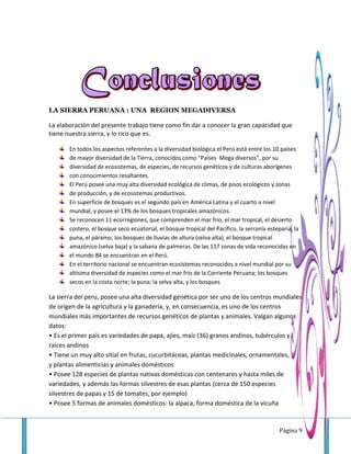 Página 9
LA SIERRA PERUANA : UNA REGION MEGADIVERSA
La elaboración del presente trabajo tiene como fin dar a conocer la gran capacidad que
tiene nuestra sierra, y lo rico que es.
En todos los aspectos referentes a la diversidad biológica el Perú está entre los 10 países
de mayor diversidad de la Tierra, conocidos como "Países Mega diversos", por su
diversidad de ecosistemas, de especies, de recursos genéticos y de culturas aborígenes
con conocimientos resaltantes.
El Perú posee una muy alta diversidad ecológica de climas, de pisos ecológicos y zonas
de producción, y de ecosistemas productivos.
En superficie de bosques es el segundo país en América Latina y el cuarto a nivel
mundial, y posee el 13% de los bosques tropicales amazónicos.
Se reconocen 11 ecorregiones, que comprenden el mar frío, el mar tropical, el desierto
costero, el bosque seco ecuatorial, el bosque tropical del Pacífico, la serranía esteparia, la
puna, el páramo, los bosques de lluvias de altura (selva alta), el bosque tropical
amazónico (selva baja) y la sabana de palmeras. De las 117 zonas de vida reconocidas en
el mundo 84 se encuentran en el Perú.
En el territorio nacional se encuentran ecosistemas reconocidos a nivel mundial por su
altísima diversidad de especies como el mar frío de la Corriente Peruana; los bosques
secos en la costa norte; la puna; la selva alta, y los bosques
La sierra del peru, posee una alta diversidad genética por ser uno de los centros mundiales
de origen de la agricultura y la ganadería, y, en consecuencia, es uno de los centros
mundiales más importantes de recursos genéticos de plantas y animales. Valgan algunos
datos:
• Es el primer país es variedades de papa, ajíes, maíz (36) granos andinos, tubérculos y
raíces andinos
• Tiene un muy alto sitial en frutas, cucurbitáceas, plantas medicinales, ornamentales,
y plantas alimenticias y animales domésticos
• Posee 128 especies de plantas nativas domésticas con centenares y hasta miles de
variedades, y además las formas silvestres de esas plantas (cerca de 150 especies
silvestres de papas y 15 de tomates, por ejemplo)
• Posee 5 formas de animales domésticos: la alpaca, forma doméstica de la vicuña
 