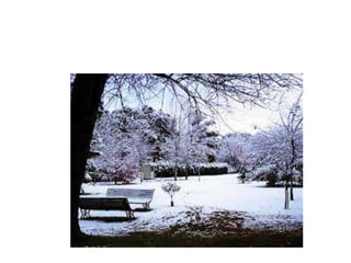 Trabajo cuento terminado