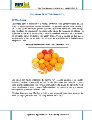 Cap. Cab. Gustavo Argote Deheza / Cod. S3978-0
Ingeniería Agronómica – Fruticultura y Floricultura 1
EL CULTIVO DE CÍTRICOS EN BOLIVIA
INTRODUCCION.
Los cítricos, como la mandarina y la naranja, provienen de las zonas tropicales de Asia.
Antes de llegar a Occidente ya era consumidas y comercializadas en la India. La naranja
fue utilizada por los españoles, primero con fines decorativos debido a su sabor amargo,
pero más tarde se consiguieron variedades más dulces. La mandarina se introdujo en
Europa en el siglo XIX y desde allí llegó hasta el continente americano. En la actualidad,
los principales países productores son Japón, Israel, Argelia y España. Se dice que su
nombre alude al color de los trajes que utilizaban los mandarines de la China Imperial.
(Magallanes, 2005).
FIGURA 1: DIFERENTES CÍTRICOS DE LA FAMILIA RUTÁCEA.
Los cítricos son fuente importante de vitamina “C” (o ácido ascórbico), que nuestro
organismo requiere para combatir los resfríos y las infecciones, pero además funcionan
como potentes antioxidantes que retrasan el envejecimiento celular. Se aprovecha mejor
todos los nutrientes si se los consume de forma natural, sin exprimirlos para jugo y lo más
fresco posible. (Gonzales Medrano, 1991).
El cultivo de cítricos está difundido en todo el país, concentrándose mayormente en las
zonas de los yungas de La Paz, Chapare y norte de Santa Cruz.
 