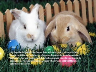   La llegada del Conejo de Pascua Este animalito que trae consigo una buena cantidad de huevitos de chocolate forrados de papel en colores brillantes, siempre quiere hacernos trabajar, pues tiene la costumbre de esconder los huevos en jardines y casas y hacer que nosotros mismos vayamos a buscarlos.