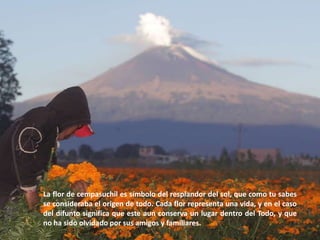 La flor de cempasuchil es símbolo del resplandor del sol, que como tu sabes se consideraba el origen de todo. Cada flor representa una vida, y en el caso del difunto significa que este aun conserva un lugar dentro del Todo, y que no ha sido olvidado por sus amigos y familiares. 