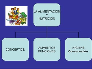 LA ALIMENTACIÓN Y NUTRICIÓN CONCEPTOS: ALIMENTOS FUNCIONES HIGIENE Conservación. 