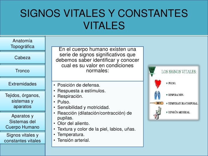 Trabajo cynthi