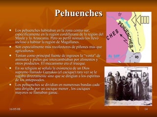 Pehuenches Los pehuenches habitaban en la zona centro sur, específicamente en la región cordillerana de la región del Maule y la Araucania. Pero su perfil nómada los llevó incluso a habitar la región de Magallanes. Son especialmente más recolectores de piñones más que agricultores. Tenían como principal fuente de ingresos la “venta” de animales y pieles que intercambiaban por alimentos y otros productos. El mecanismo era el trueque. En su religión se señala la existencia de un Dios supremo llamado Gamakia (el cacique) rara vez se le rogaba directamente sino que se dirigían a los espíritus de los antepasados.  Los pehuenches se dividían en numerosas bandas cada una dirigida por un cacique menor , los caciques mayores se llamaban ganac. 