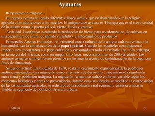 Aymaras Organización religiosa : El  pueblo aymara ha tenido diferentes dioses locales  que estaban basados en la religión agrícola y las adoraciones a los muertos. El antiguo dios aymara es Thunupa que es el icono central de la cultura como la puerta del sol, viento, lluvia y granizo. Actividad  Económica :se aborda la producción de bienes para uso doméstico, de cultivos en una agricultura de altura, de ganado camélido y el intercambio de productos  Principales Aportes Culturales : el  principal aporte cultural de la antigua cultura aymara, a la humanidad, sea la domesticación de la  papa (patata) . Cuando los españoles conquistaron al imperio Inca encontraron a la papa cultivada y consumida en todo el territorio Inca. Sin embargo, en la meseta del Titicaca, como en ningún otro lugar, encontraron mas de 200 variedades. Los antiguos aymaras también fueron pioneros en inventar la técnica de deshidratación de la papa, con fines de almacenaje.  Situación actual : En la década de 1970, se da un crecimiento exponencial de la población andina, generándose una migración como alternativa de desarrollo y mecanismo de regulación entre tierra y población indígena. La migración Aymara se realizó en forma variable según los momentos históricos y áreas de proveniencia, durante esas dos décadas se modificó la composición de las comunidades agrícolas, se redistribuyó la población rural regional y empieza a hacerse visible un segmento de población Aymará urbana. 