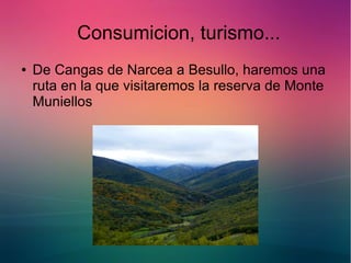 Consumicion, turismo... 
● De Cangas de Narcea a Besullo, haremos una 
ruta en la que visitaremos la reserva de Monte 
Muniellos 
 