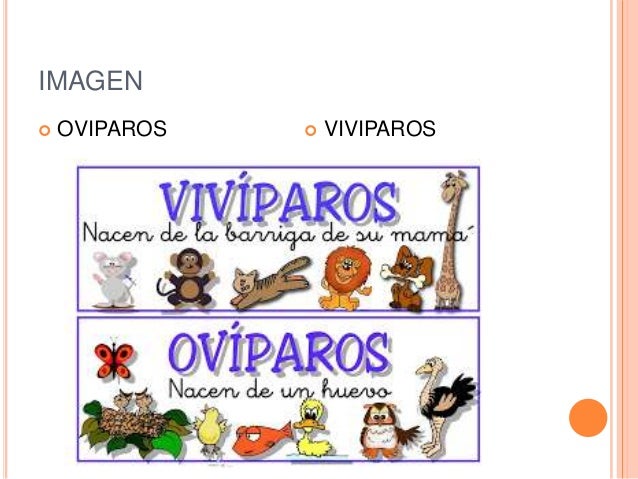 Trabajo Daniela