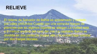 RELIEVE
El relieve de Salvador de Bahía es accidentado y cortado
por vales profundos.Cuenta con una estrecha franjas de
planicies,que en algunos lugares se alargan.La ciudad está
a 8 metros encima del nivel del mar.La capitalde Bahía es
dividida en dos partes:la ciudad alta y la ciudad baja cortada
por dos franjas litorales.
 