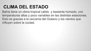 CLIMA DEL ESTADO
Bahía tiene un clima tropical cálido y bastante húmedo, con
temperaturas altas y poco variables en las distintas estaciones.
Esto es gracias a la cercanía del Océano y los vientos que
influyen sobre la ciudad.
 