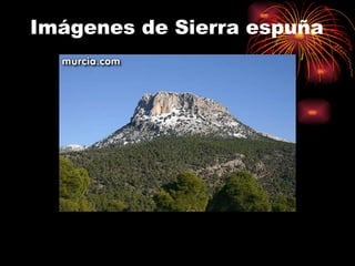 Imágenes de Sierra espuña 