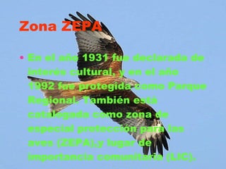 Zona ZEPA En el año 1931 fue declarada de interés cultural, y en el año 1992 fue protegida como Parque Regional. También está catalogada como zona de especial protección para las aves (ZEPA),y lugar de importancia comunitaria (LIC). 