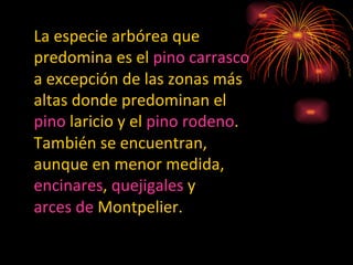 La especie arbórea que predomina es el  pino carrasco  a excepción de las zonas más altas donde predominan el  pino  laricio  y el  pino rodeno . También se encuentran, aunque en menor medida,  encinares ,  quejigales  y  arces de  Montpelier . 
