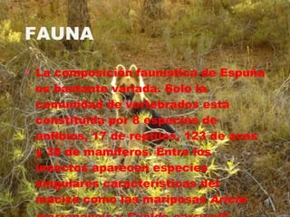 La composición faunística de Espuña es bastante variada. Solo la comunidad de vertebrados está constituida por 8 especies de anfibios, 17 de reptiles, 123 de aves y 38 de mamíferos. Entre los insectos aparecen especies singulares características del macizo como las mariposas  Aricia morronensis  y  Cupido carswelli . FAUNA 