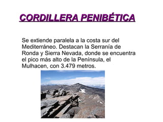 CORDILLERA PENIBÉTICACORDILLERA PENIBÉTICA
Se extiende paralela a la costa sur del
Mediterráneo. Destacan la Serranía de
Ronda y Sierra Nevada, donde se encuentra
el pico más alto de la Península, el
Mulhacen, con 3.479 metros.
 