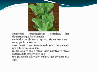 Numerosas        investigaciones    científicas,  han
demostrado que los productos
cultivados con el sistema orgánico, tienen más materia
seca y por lo tanto más
valor nutritivo por kilogramo de peso. Por ejemplo,
una coliflor pequeña tiene
menos agua y posee mayor valor nutritivo y mayor
capacidad de conservación que
una grande de cultivación química que contiene más
agua.
 