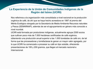 La Experiencia de la Unión de Comunidades Indígenas de la
                 Región del Istmo (UCIRI)

 Nos referimos a la organización más consolidada a nivel nacional en la producción
 orgánica de café, de ahí que se haya hecho acreedora en 1997 al premio del
 Mérito Ecológico otorgado por la Secretaría de Medio Ambiente Recursos naturales
 y Pesca (SEMARNAP), además de ser el agrupamiento en género más conocido a
 nivel mundial.
 UCIRI está formada por productores indígenas, actualmente agrupa 2300 socios
 que cultivan poco más de 7.000 hectáreas certificadas de café orgánico,
 obteniendo una producción anual superior a las 1.000 toneladas de café oro, de tal
 forma que las procesadoras y torrefactaras le ganan un mayor valor agregado, por
 lo que UCIRI ha comenzado a procesar su café en tipo soluble, ofreciendo
 presentaciones de 100 y 200 gramos, que llegan al mercado nacional e
 Internacional.
 