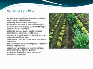 Agricultura orgánica

La agricultura orgánica es un sistema global de
gestión de la producción que
fomenta y realza la salud de los agro
ecosistemas, inclusive la diversidad biológica,
los ciclos biogeoquímicos y la actividad biológica
del suelo. Esto se consigue
aplicando, siempre que es posible métodos
agronómicos, biológicos, ecológicos, y
mecánicos, en contraposición a la utilización de
materiales sintéticos, para
desempeñar cualquier función específica dentro
del sistema.
Los sistemas de producción orgánica se basan en
normas de producción
específicas y precisas cuya finalidad es lograr
agro ecosistemas óptimos que sean
sostenibles desde el punto de vista social,
ecológico y económico.
 