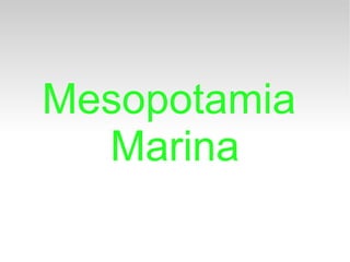 Mesopotamia
  Marina
 