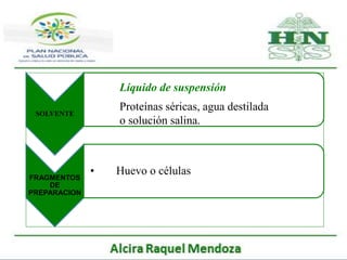 SOLVENTE
FRAGMENTOS
DE
PREPARACION
• Huevo o células
Proteínas séricas, agua destilada
o solución salina.
Líquido de suspensión
 