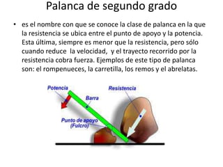 Palanca de segundo grado
• es el nombre con que se conoce la clase de palanca en la que
la resistencia se ubica entre el punto de apoyo y la potencia.
Esta última, siempre es menor que la resistencia, pero sólo
cuando reduce la velocidad, y el trayecto recorrido por la
resistencia cobra fuerza. Ejemplos de este tipo de palanca
son: el rompenueces, la carretilla, los remos y el abrelatas.
 