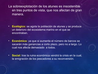 La sobreexplotación de los atunes es insostenible
en tres puntos de vista, que nos afectan de gran
manera.
• Ecológico: se agota la población de atunes y se produce
un deterioro del ecosistema marino en el que se
encontraban.
• Económico: ya que si aumenta el número de barcos se
sacarán más ganancias a corto plazo, pero no a largo. Lo
cual nos afecta demasiado a todos.
• Social: tras la ruina económica vendrá la crisis en la cual,
la emigración de los pescadores a su reconversión.
 