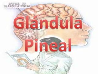 Glándula Pineal