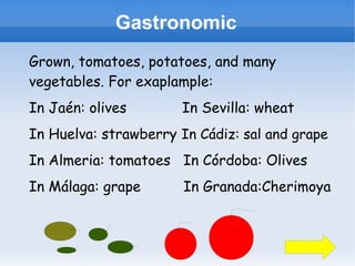 Gastronomic
Grown, tomatoes, potatoes, and many
vegetables. For exaplample:
In Jaén: olives        In Sevilla: wheat
In Huelva: strawberry In Cádiz: sal and grape
In Almeria: tomatoes In Córdoba: Olives
In Málaga: grape       In Granada:Cherimoya
 