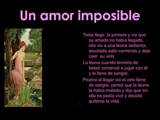 Un amor imposible Tisbe llego  la primera y vio que su amado no había llegado, ella vio a una leona sedienta, asustada salio corriendo y dejo caer  su velo. La leona cuando termino de beber comenzó a jugar con él y lo lleno de sangre. Píramo al llegar vio el velo lleno de sangre, pensó que la leona la había matado y dijo que sin ella no podía vivir y decidió quitarse la vida. 
